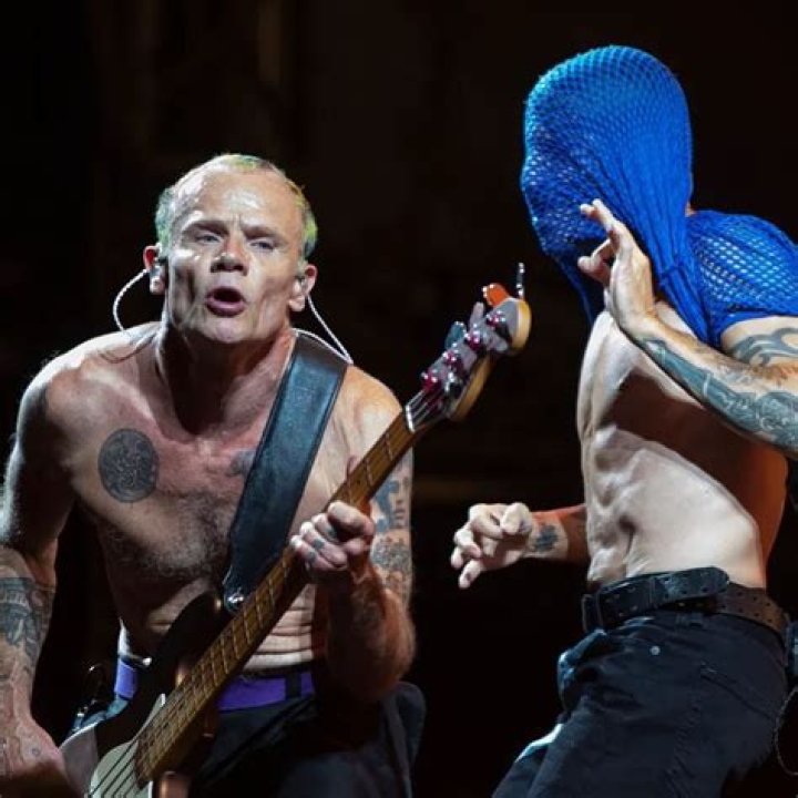 Fame | Red Hot Chili Peppers net worth and salary income estimation Apr, 2024